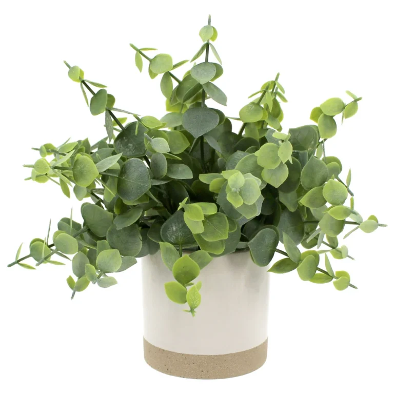Artificial Green Eucalyptus Plant in Two Tone Glazed Ceramic Planter.webp