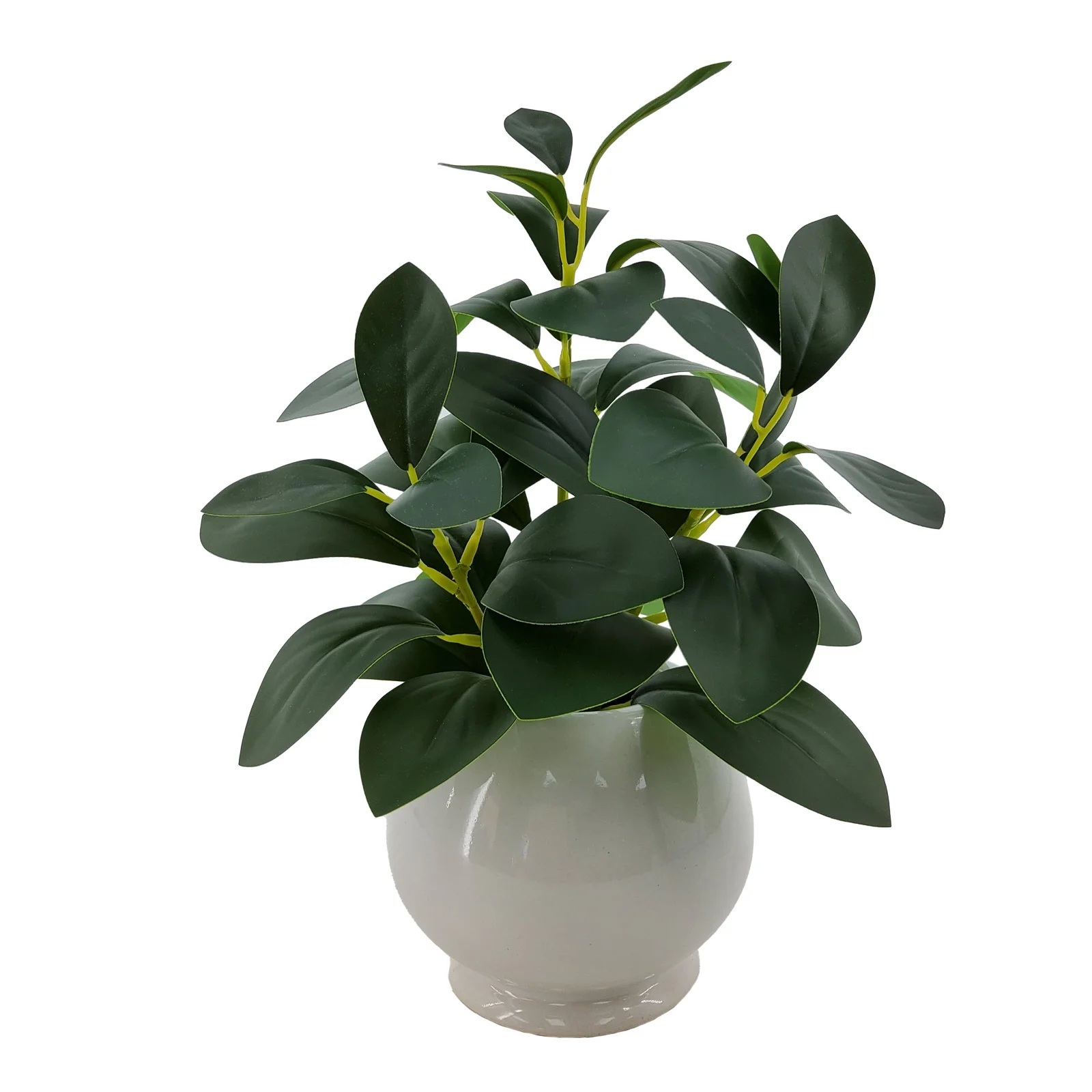 Artificial Peperomia Plant in White Color Ceramic Pot.webp