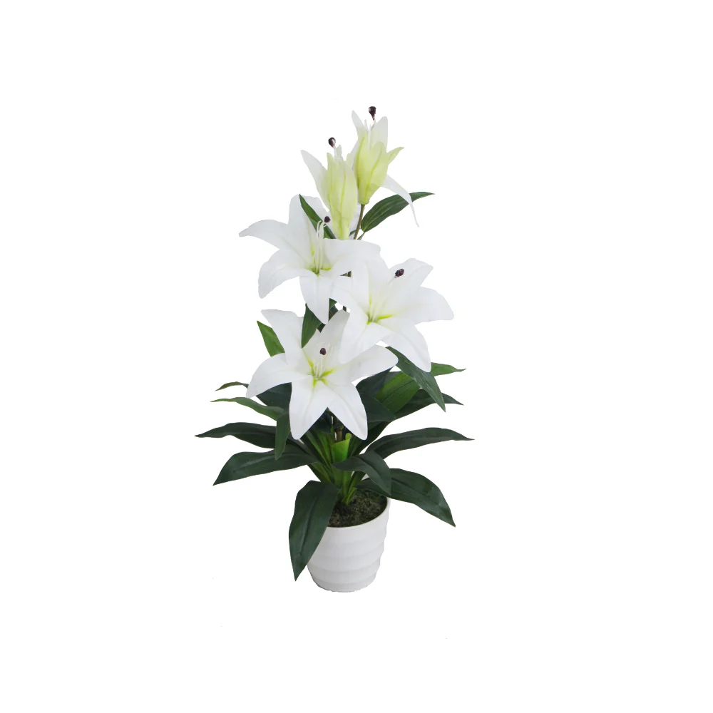 Lilly JWS2943.webp