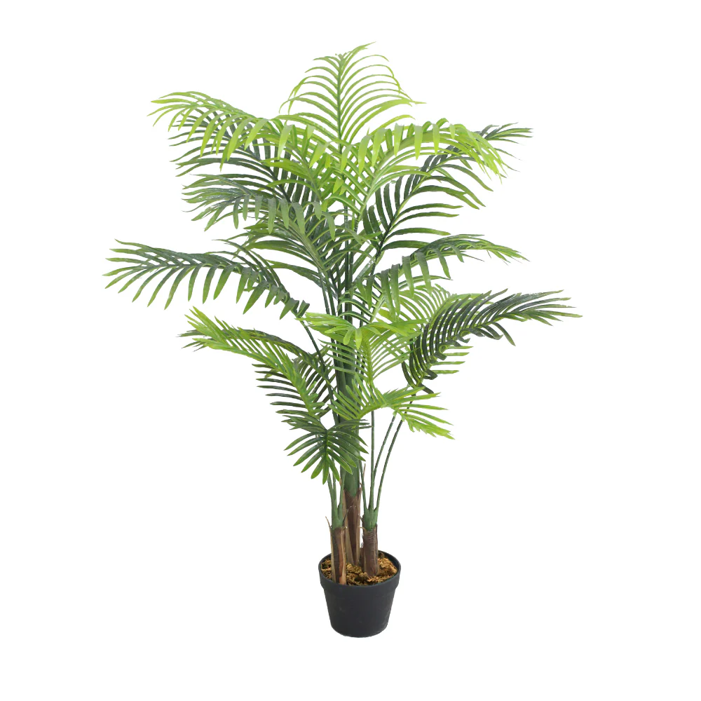 Palm JWS2865.webp